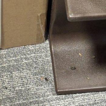 Paramount Chinese Seafood Restaurant - Rodent droppings on child's booster seat. - Chinese Near Me - Vancouver, British Columbia Paramount Chinese Seafood Restaurant - Rodent droppings on child's booster seat. - Chinese Near Me - Vancouver, British Columbia