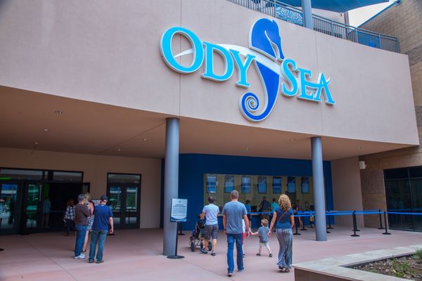 OdySea Aquarium by null