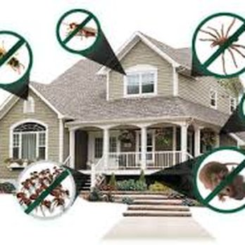 NP Pest Control - Pest Control Near Me NP Pest Control - Pest Control Near Me