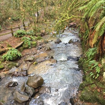 Macleay Park - Parks Near Me - Portland, Oregon