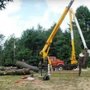 Photo of Tree Masters