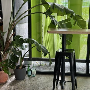 DOZER Coffee - Cafes Near Me - Ann Arbor, Michigan DOZER Coffee - Cafes Near Me - Ann Arbor, Michigan