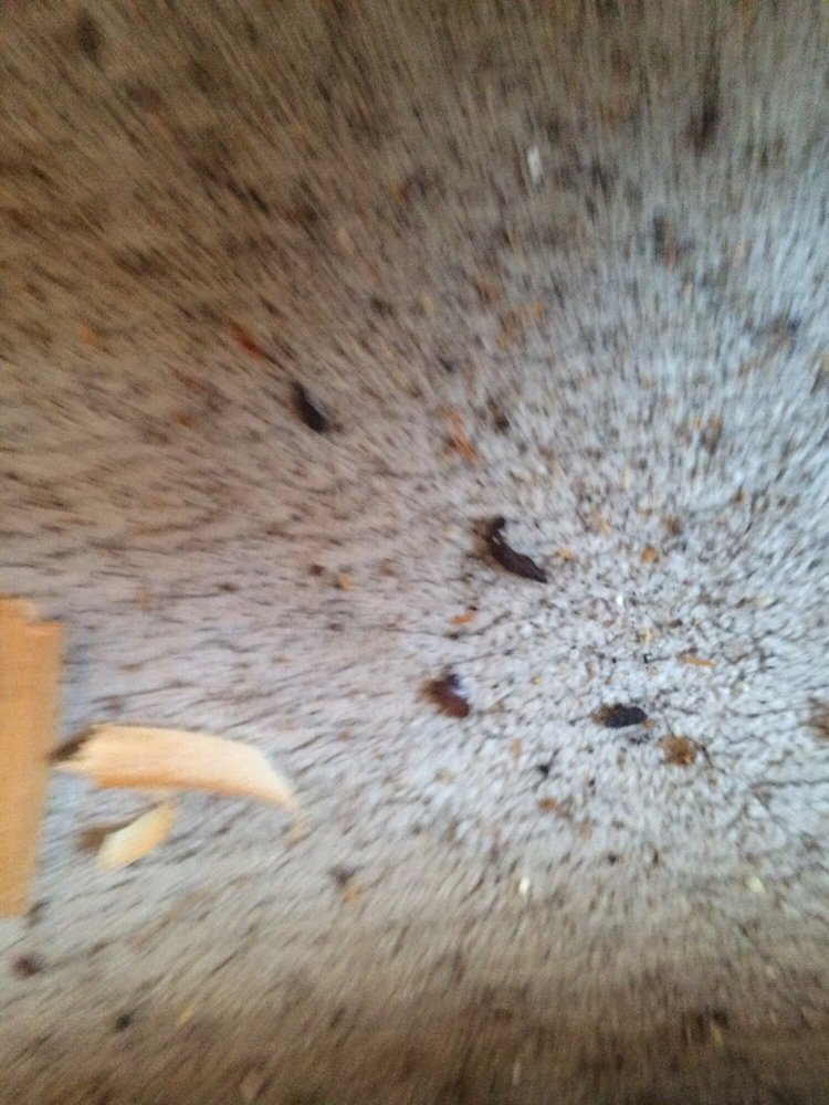 Slide of 1st Choice Contracting