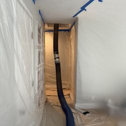 Rat Issues - House prep