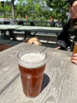 4 Origines - Microbrasserie / Pointe-St-Charles by null