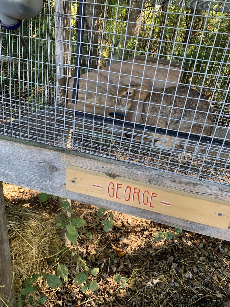 WILSON FAMILY FARM 22 Photos 4809 Byrd Ln, College Grove, Tennessee