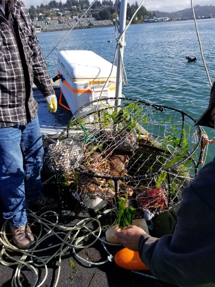 FOJ ROD & REEL REPAIR Updated August 2024 14 Photos 3842 Midway