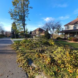 Corson Tree Services
