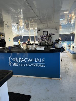 Pacific Whale Foundation by null