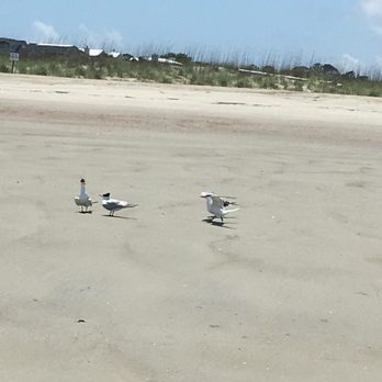Tybee Island - Beaches Near Me - Tybee Island, Georgia