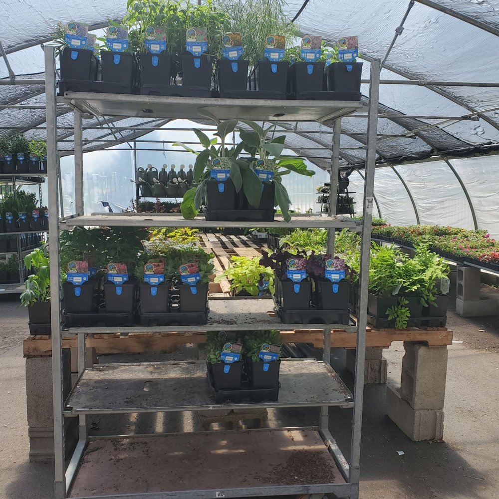 Good Earth Greenhouse - Nurseries & Gardening Near Me - River Forest, Illinois Good Earth Greenhouse - Nurseries & Gardening Near Me - River Forest, Illinois