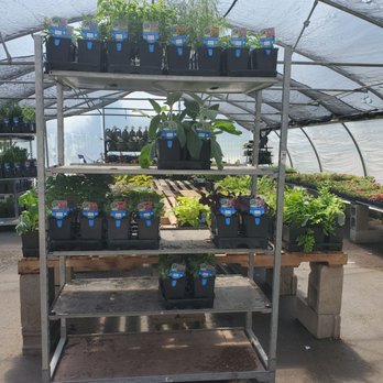 Good Earth Greenhouse - Nurseries & Gardening Near Me - River Forest, Illinois