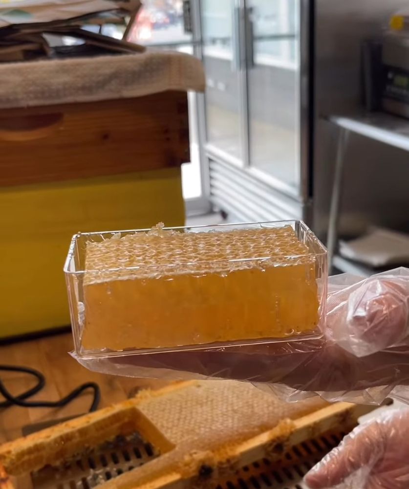 Soil and Hive - beekeeping in Beaverton, OR