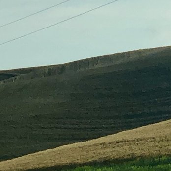 The Palouse Scenic Byway - Palouse landscape along I-195 north of Colfax - Transportation Near Me - Pullman, Washington