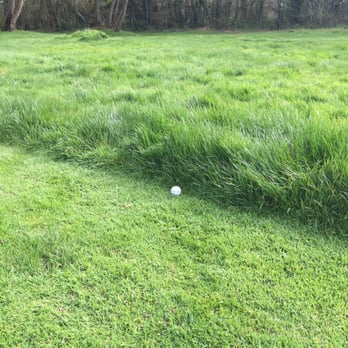 Pumpkin Ridge Golf Club - This is the transition from fairway to rough. What a joke - Golf Near Me - North Plains, Oregon Pumpkin Ridge Golf Club - This is the transition from fairway to rough. What a joke - Golf Near Me - North Plains, Oregon