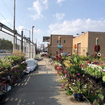 Growers Outlet - Nurseries & Gardening Near Me - Chicago, Illinois Growers Outlet - Nurseries & Gardening Near Me - Chicago, Illinois