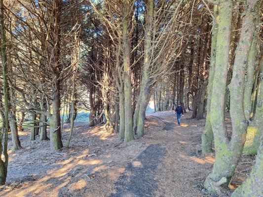 Cape Perpetua Visitor Center - Siuslaw National Forest by null