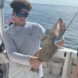 Reel Cortez Charters