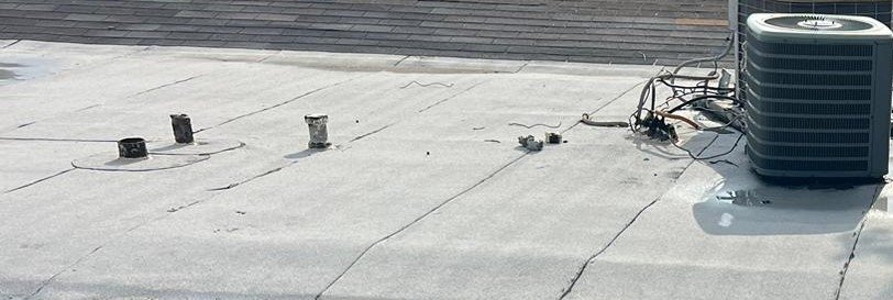 Slide of Fundora’s Brother’s