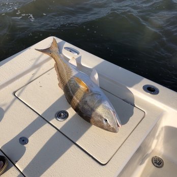 Bayrunner Fishing Charters - Fishing Near Me - Hilton Head Island, South Carolina Bayrunner Fishing Charters - Fishing Near Me - Hilton Head Island, South Carolina