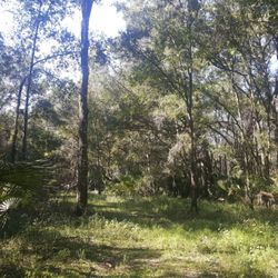 Jefferson Equestrian Area