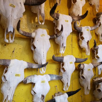 Camino 66 - Souvenir Shops Near Me - Albuquerque, New Mexico