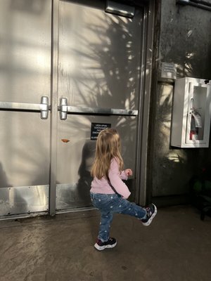 Butterfly Biosphere by null