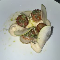 Scallops Scallops