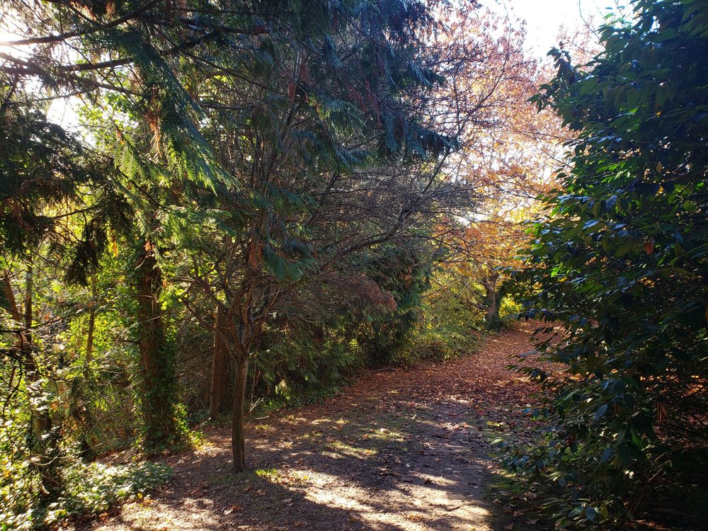 VIEW APARTMENTS Updated September 2024 258 Rd E