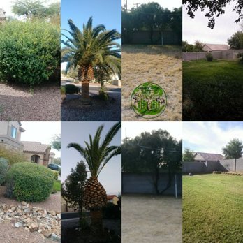 Aj S Landscaping 26 Photos Landscaping Phoenix Az Phone Number