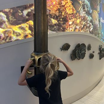 Shedd Aquarium - Aquariums Near Me - Chicago, Illinois