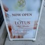 Lotus Nail Studio