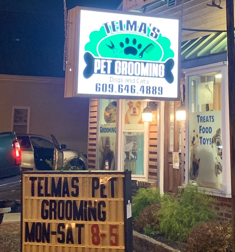 TELMAS PET GROOMING Updated September 2024 229 W Absecon Blvd