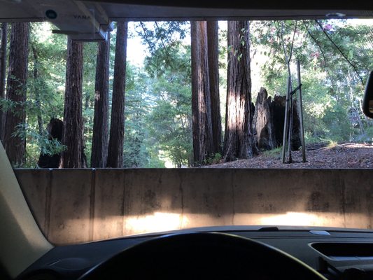 ACTION AUTO GLASS - Updated June 2025 - 11 Photos & 121 Reviews - 2701