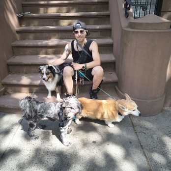 Downtown Brooklyn Pet Care - Taking a break with the pack in Carroll Gardens - Dog Walkers Near Me - Brooklyn, New York Downtown Brooklyn Pet Care - Taking a break with the pack in Carroll Gardens - Dog Walkers Near Me - Brooklyn, New York
