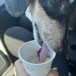 Pup cup for the good boy. Pup cup for the good boy.