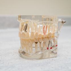 Steeple Run Family Dental