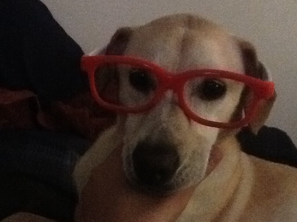 Slide of Jim Moscone Plumbing & Heating