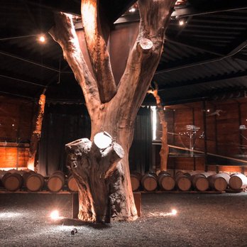 Bruma - Wineries Near Me - Ensenada, BCN