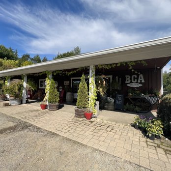 Bear Creek Artichokes - Store front - Coffee & Tea Near Me - Cloverdale, Oregon Bear Creek Artichokes - Store front - Coffee & Tea Near Me - Cloverdale, Oregon