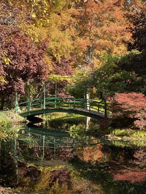 Gibbs Gardens by null