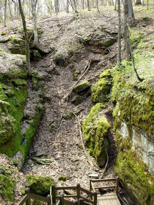 Rock Bridge Memorial State Park by null