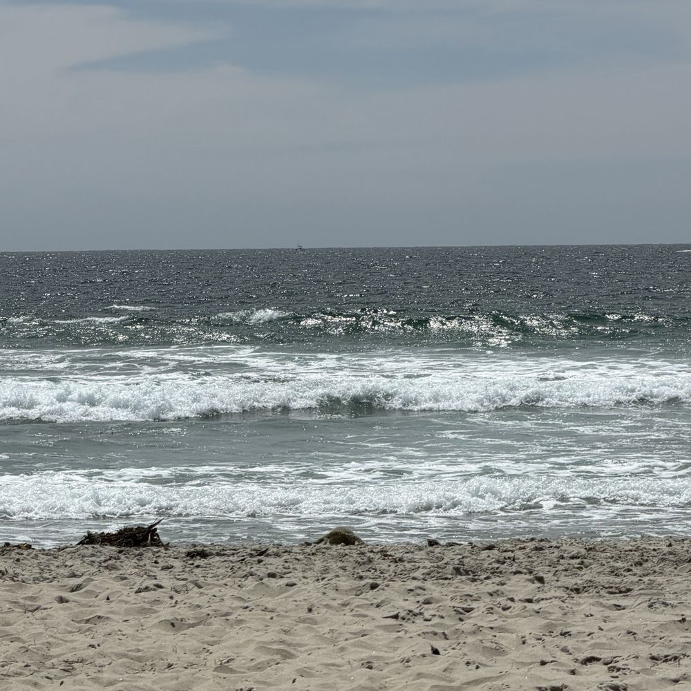 Mission Beach - 7/2026- sand and ocean water waves - Beaches Near Me - San Diego, California Mission Beach - 7/2026- sand and ocean water waves - Beaches Near Me - San Diego, California