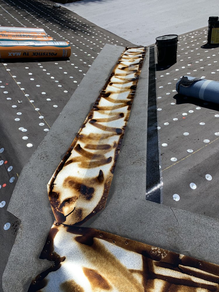 Slide of The Roof Wizard