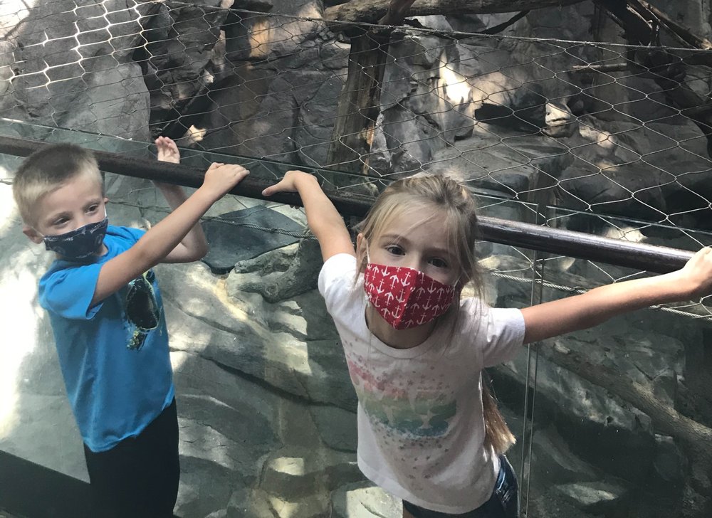 SEW IT UP Updated September 2024 21 Photos & 11 Reviews 14900