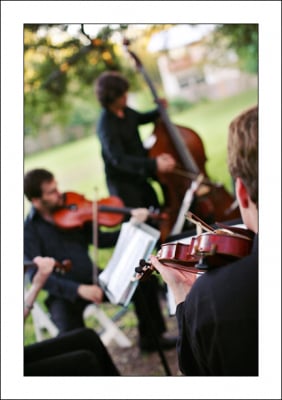 Will Taylor & Strings Attached