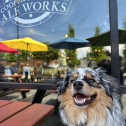 Cooper Mountain Ale Works - Great patio for dogs!