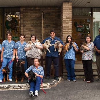 Stoneham Animal Hospital - Veterinarians Near Me - Stoneham, Massachusetts Stoneham Animal Hospital - Veterinarians Near Me - Stoneham, Massachusetts