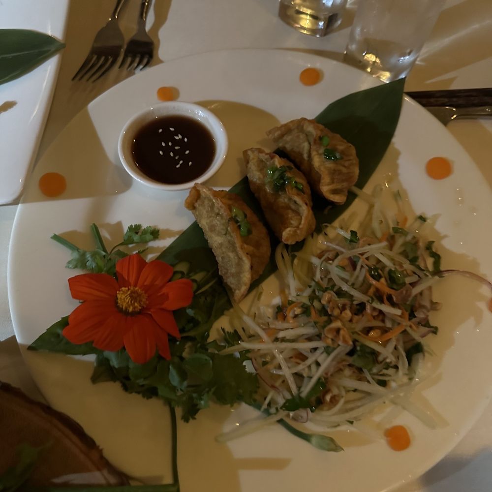 Restaurant BT - Dumplings - French Near Me - Tampa, Florida Restaurant BT - Dumplings - French Near Me - Tampa, Florida