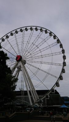 The Wheel of Brisbane by null